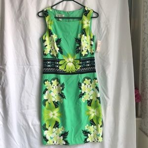 Dress barn size 6 still new